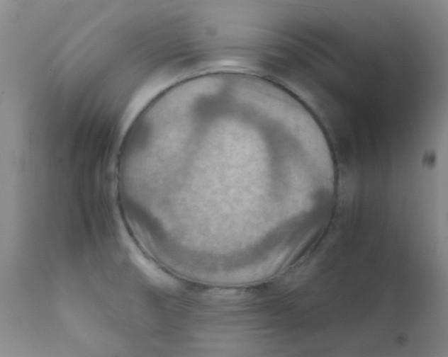 X0000111901474200908171226