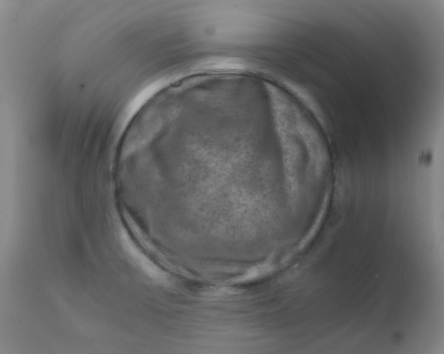 X0000111901475200908171226