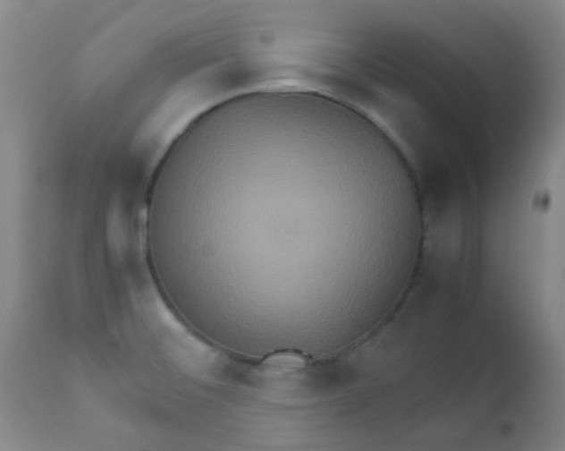 X0000111901476200908171226