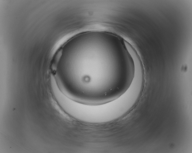 X0000111901477200908171226