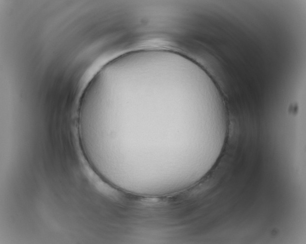 X0000111901478200908171226