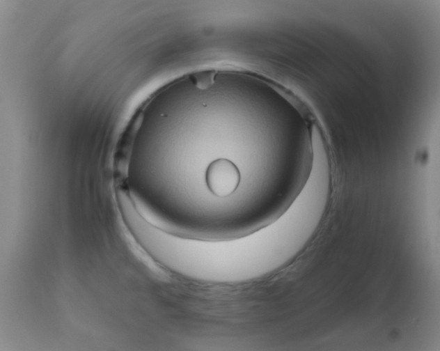 X0000111901480200908171226