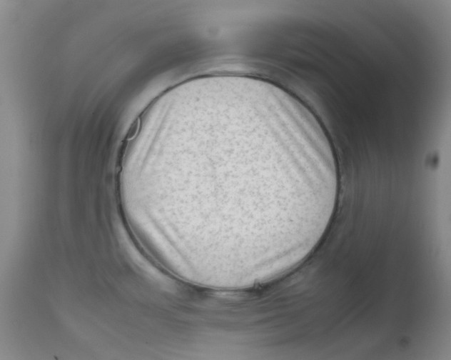 X0000111901483200908171226