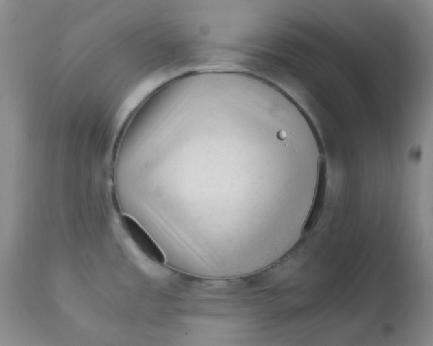 X0000111901485200908171226