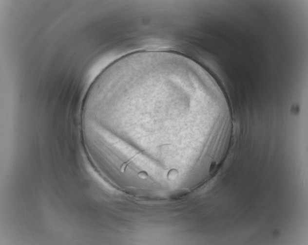 X0000111901487200908171226