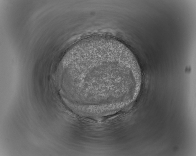 X0000111901489200908171225