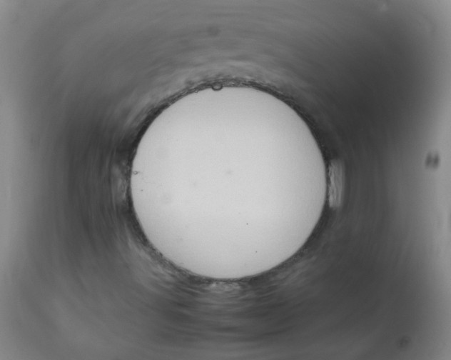 X0000111901491200908171225