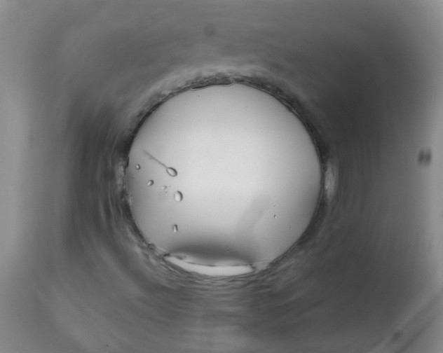 X0000111901492200908171225