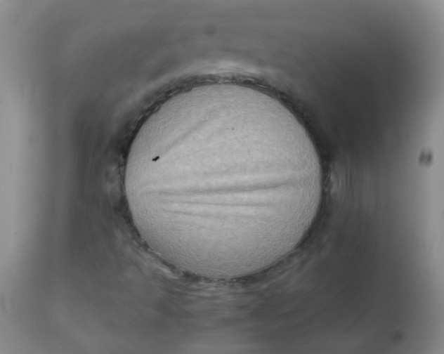 X0000111901493200908171225