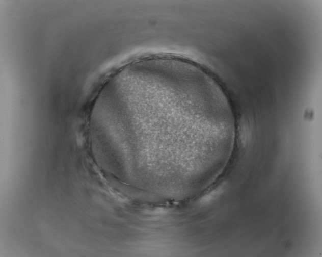 X0000111901494200908171225