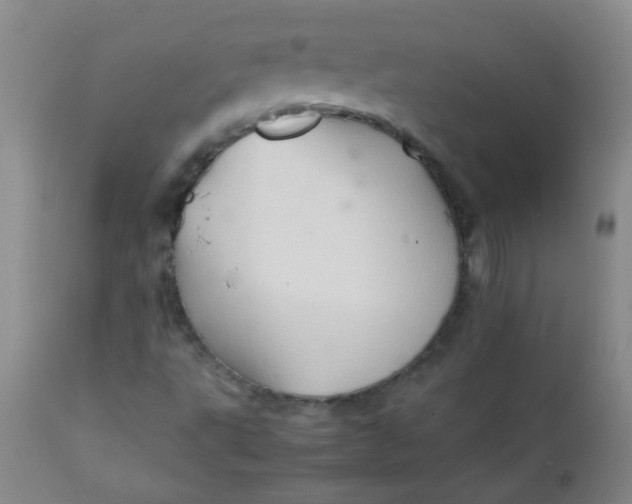 X0000111901495200908171225