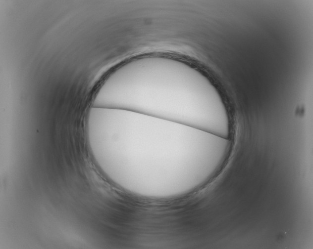 X0000111901497200908171225