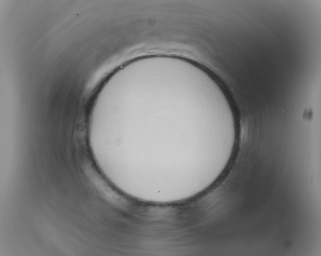 X0000111901498200908171225