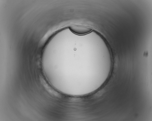 X0000111901499200908171225