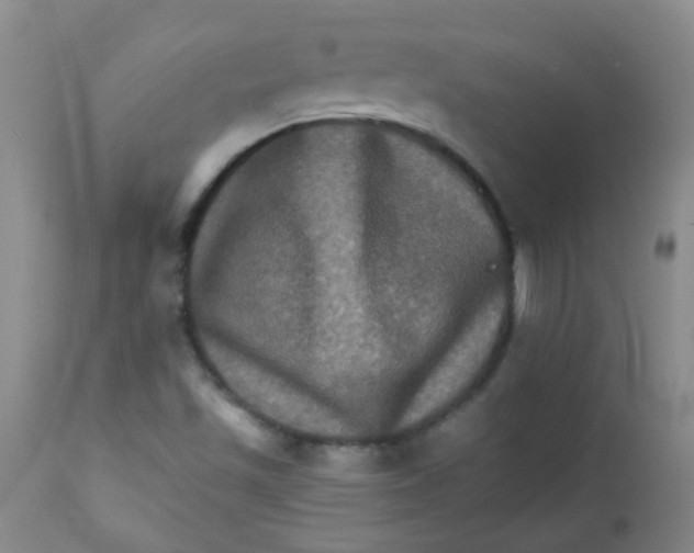 X0000111901501200908171225