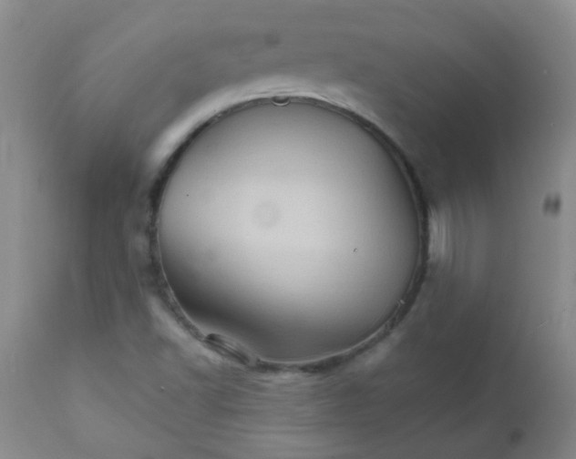 X0000111901502200908171225