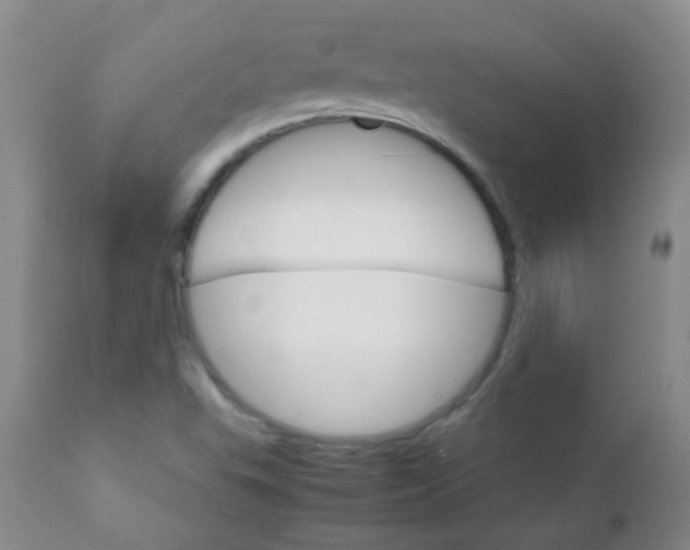 X0000111901503200908171225