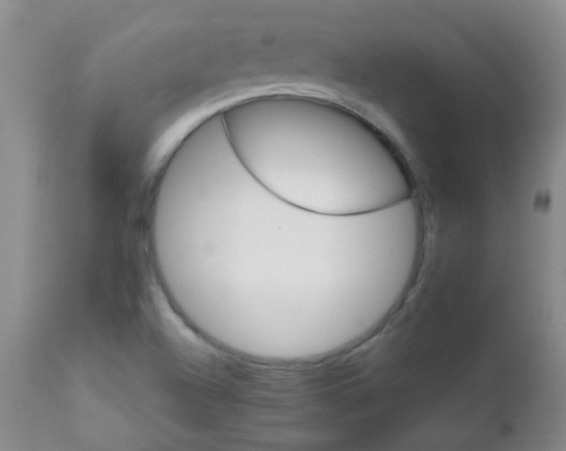 X0000111901504200908171225