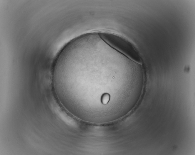 X0000111901506200908171225