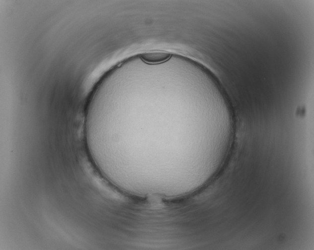 X0000111901507200908171225