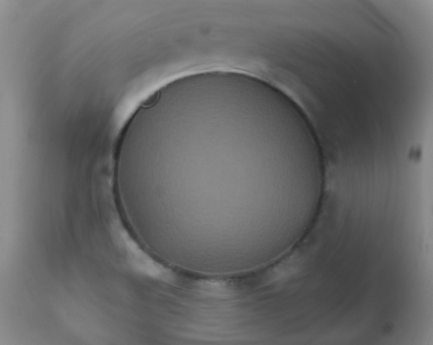 X0000111901508200908171225