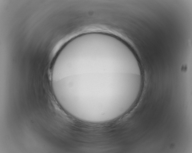 X0000111901509200908171225