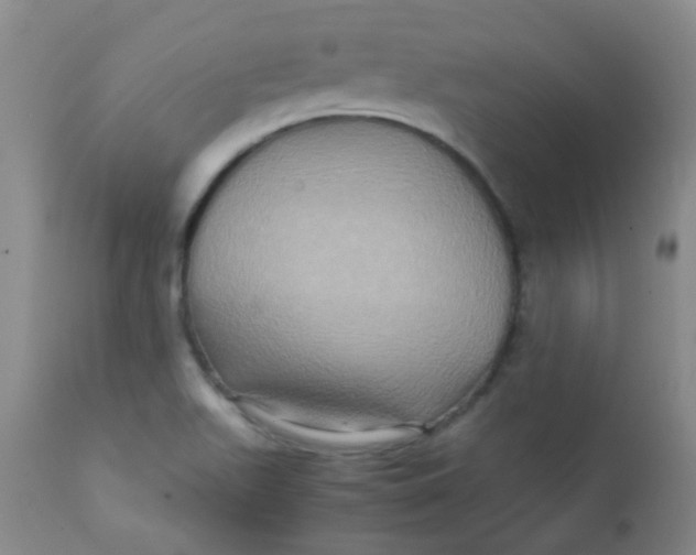 X0000111901511200908171225