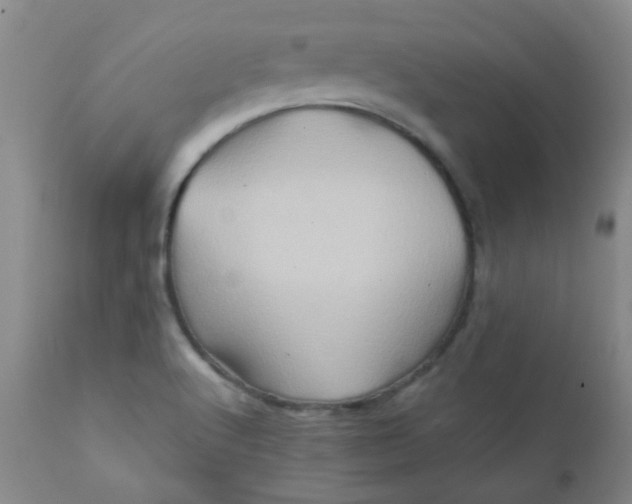 X0000111901512200908171225