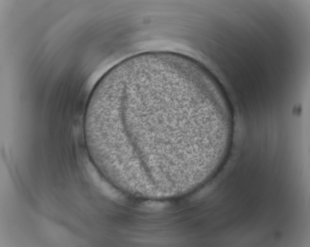 X0000111901513200908171226