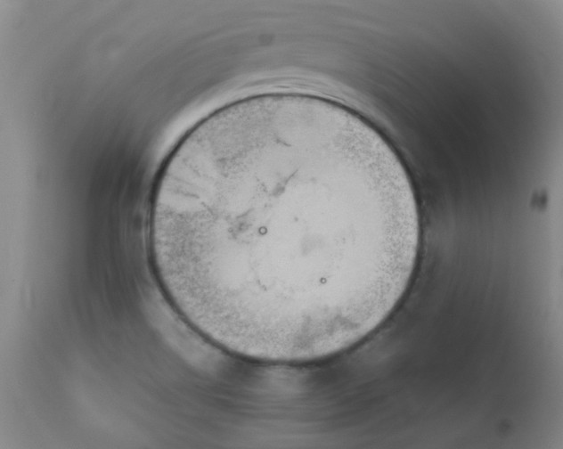 X0000111901514200908171226