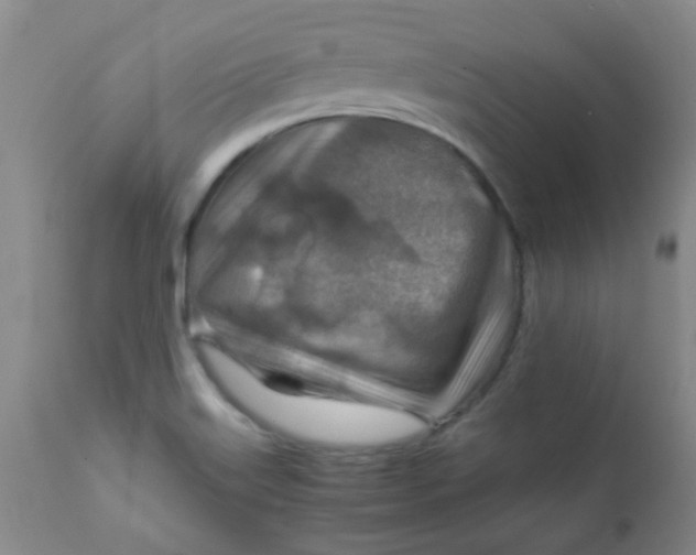 X0000111901515200908171226