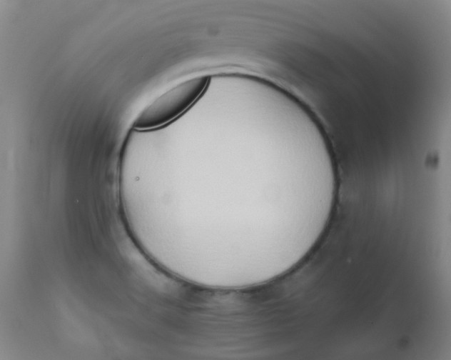 X0000111901516200908171226