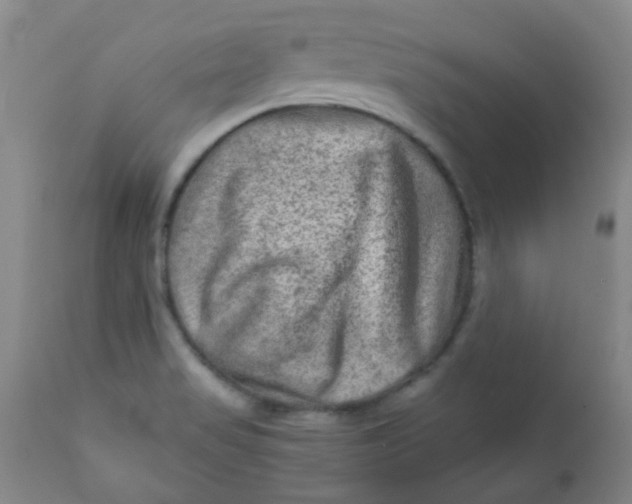 X0000111901517200908171226