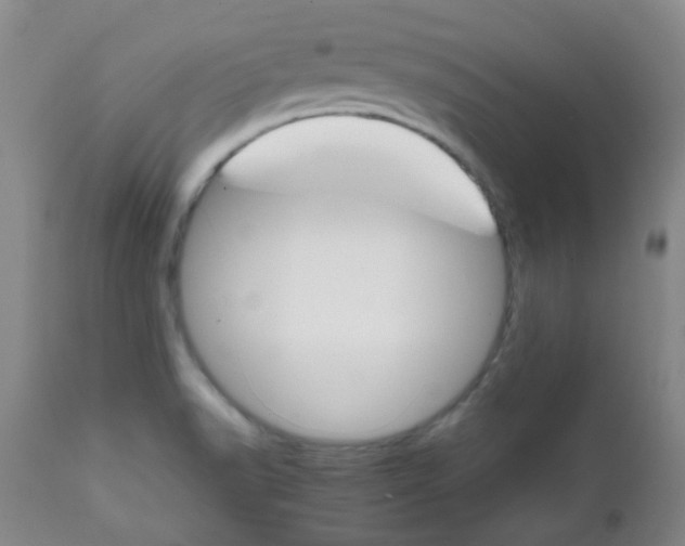 X0000111901518200908171226