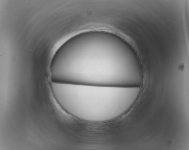 X0000111901520200908171226