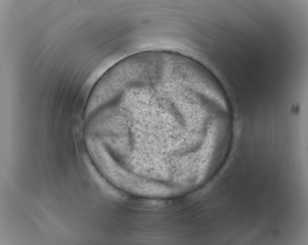 X0000111901521200908171226