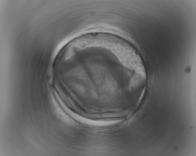 X0000111901522200908171226