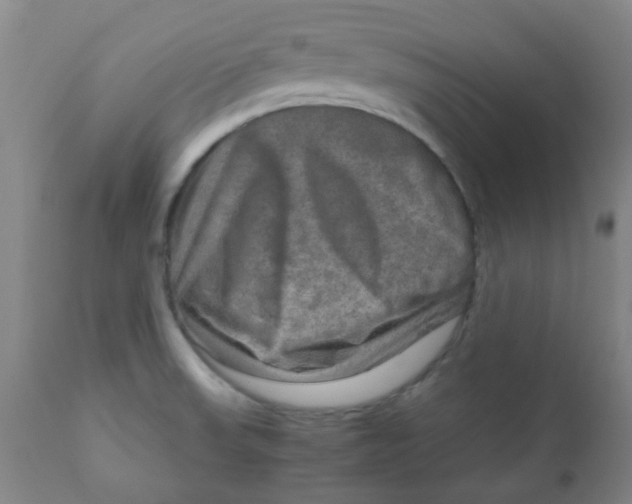 X0000111901523200908171226