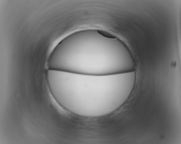 X0000111901524200908171226