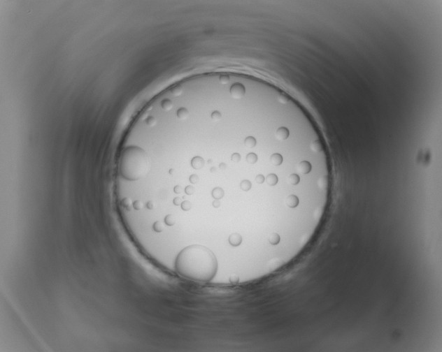 X0000111901525200908171226