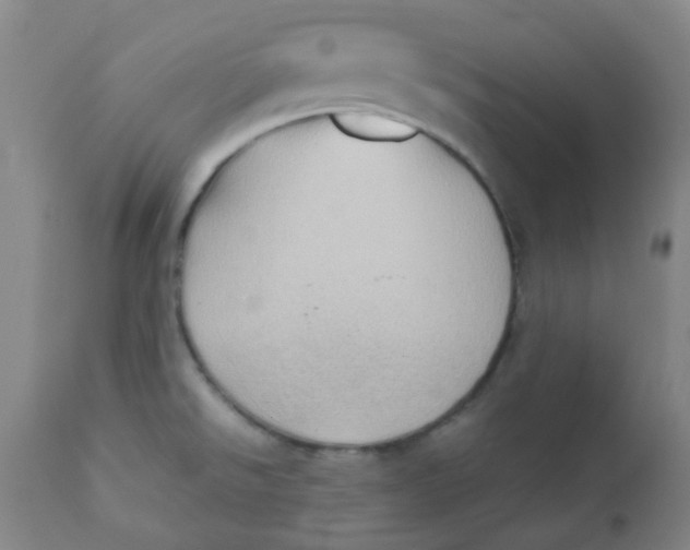 X0000111901526200908171226