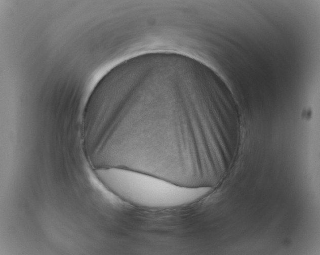 X0000111901527200908171226