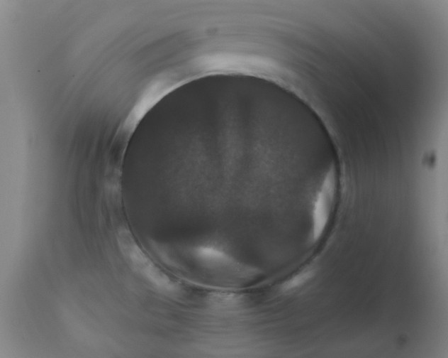 X0000111901529200908171226