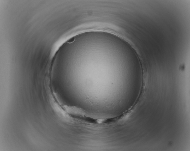 X0000111901530200908171226