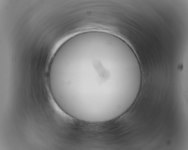 X0000111901531200908171226