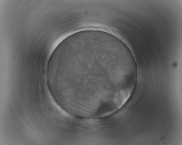 X0000111901533200908171226