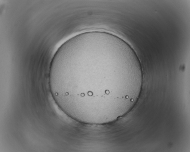 X0000111901534200908171226