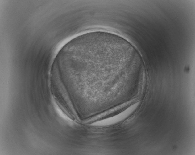 X0000111901535200908171226