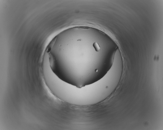 X0000111901536200908171226