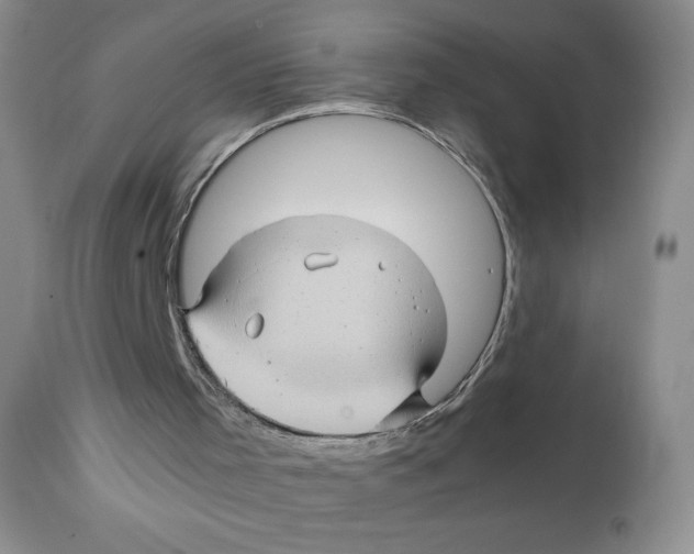 X0000111900001200908241014